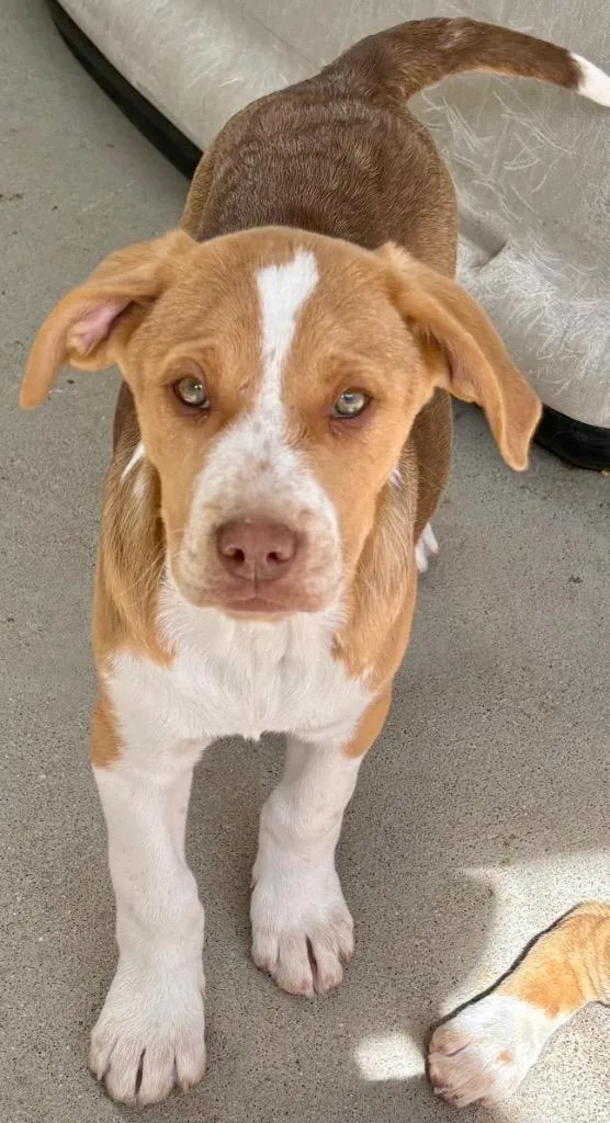 Lime Light thumbnail 2