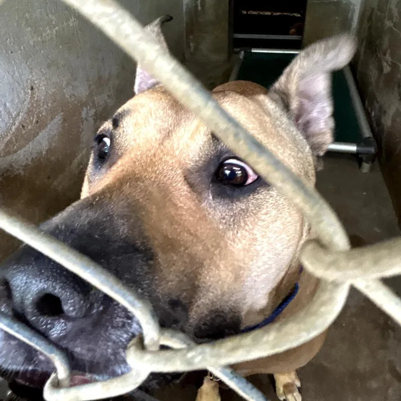 Traffic Jam thumbnail 2