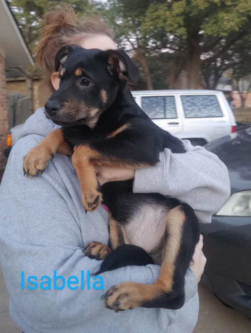 Isabella thumbnail 2