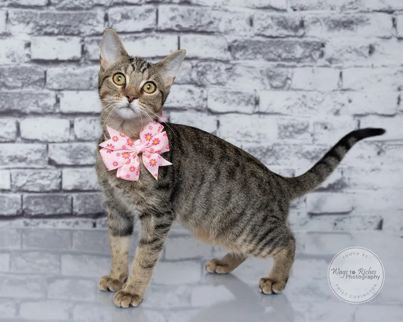 Summer thumbnail 4