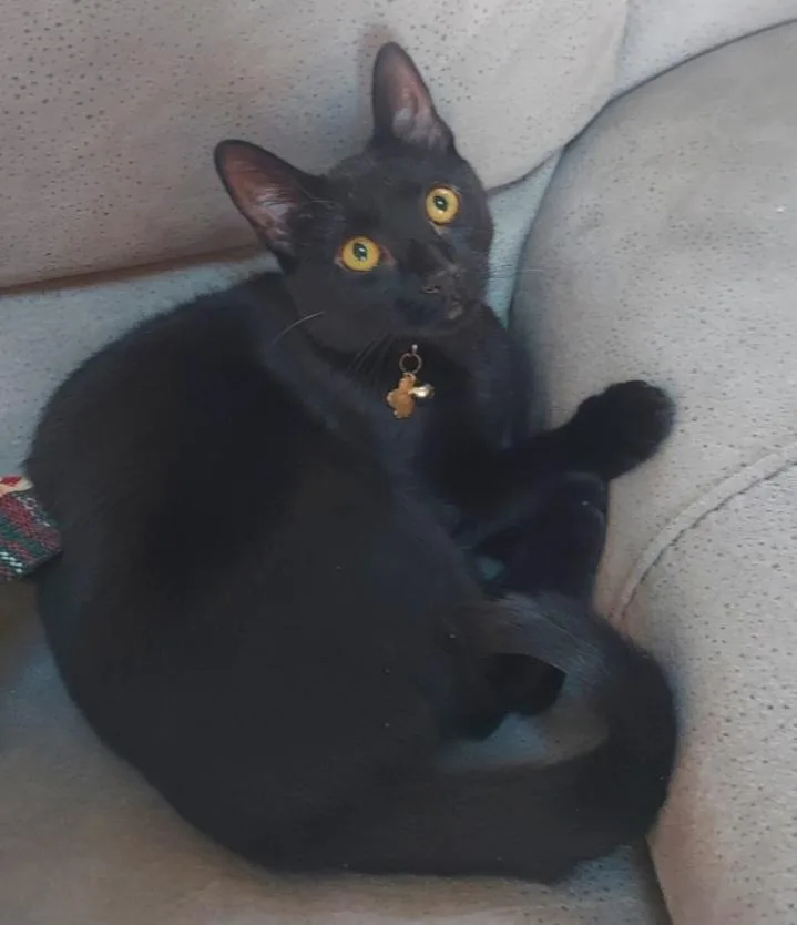 Shiner And Sister Dinah