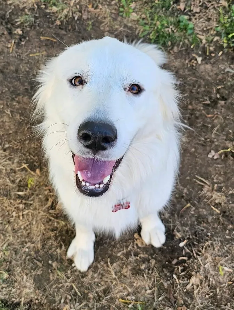 Derpy Daisy thumbnail 4