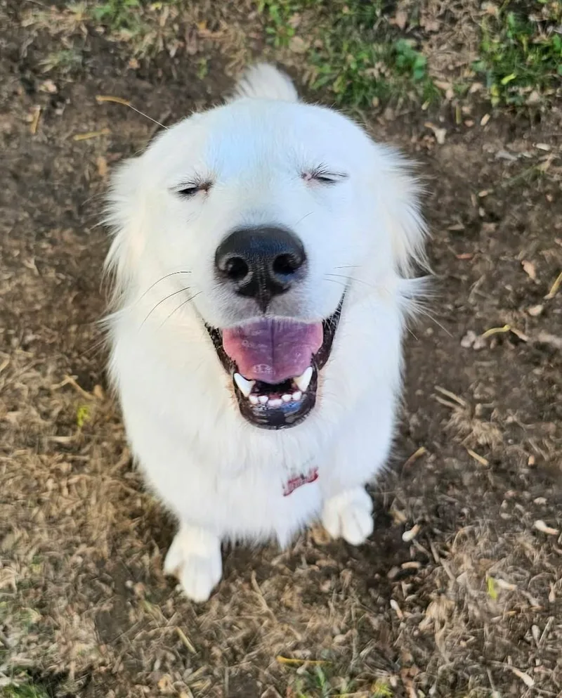 Derpy Daisy thumbnail 5