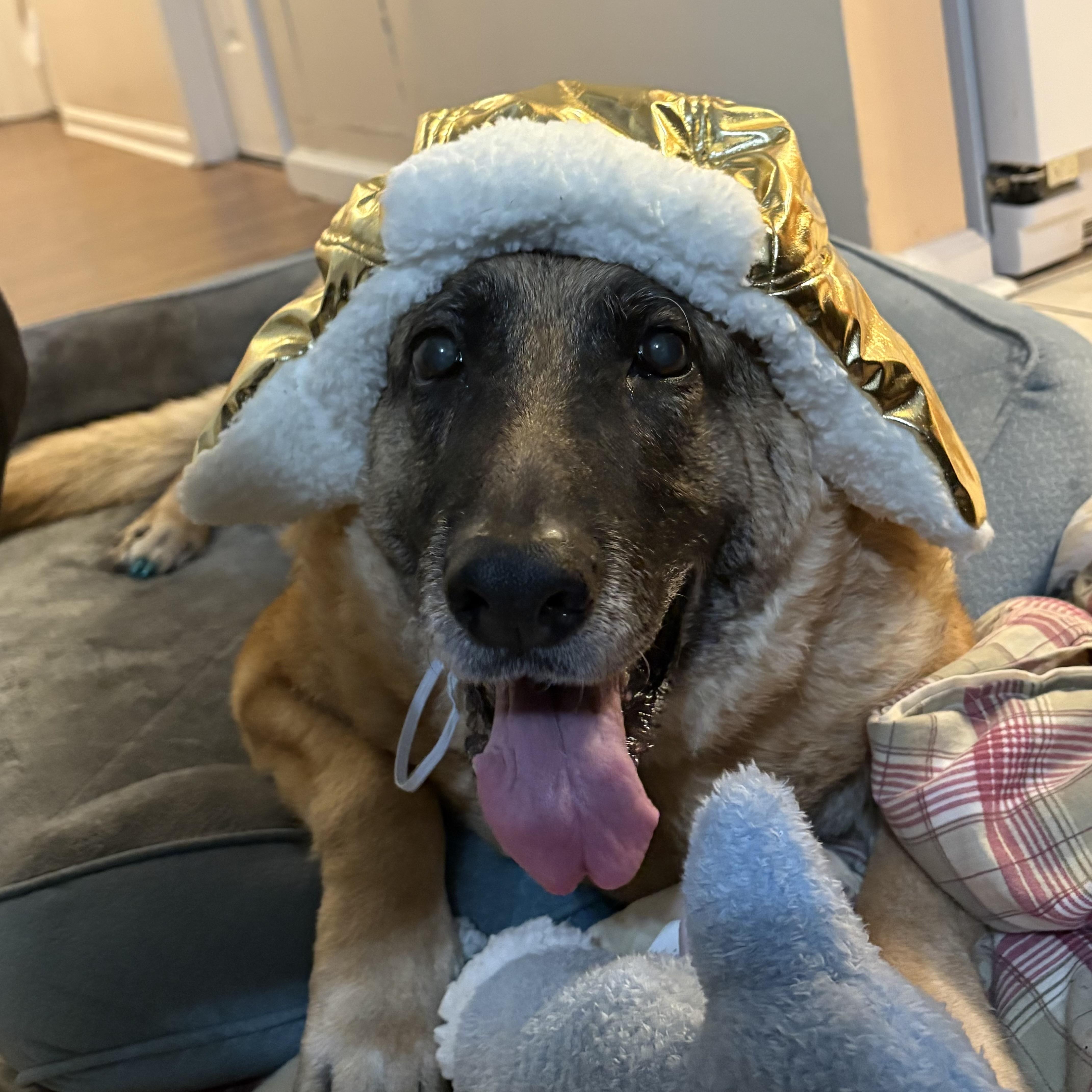 Iridessa thumbnail 2