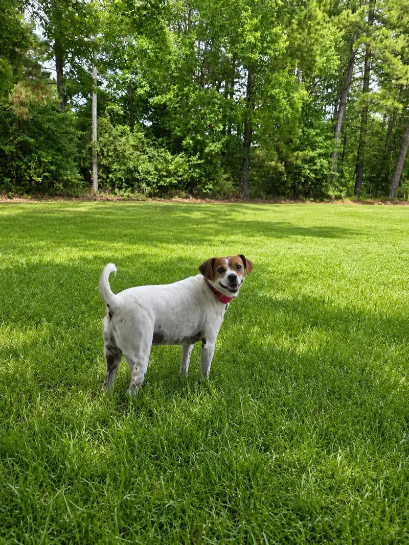 Maggie thumbnail 2