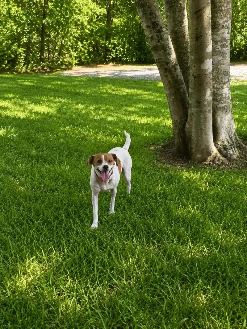 Maggie thumbnail 3