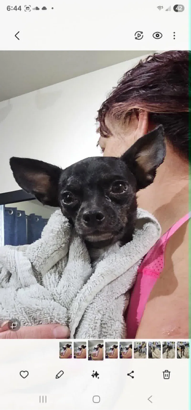 Mighty Mouse thumbnail 5