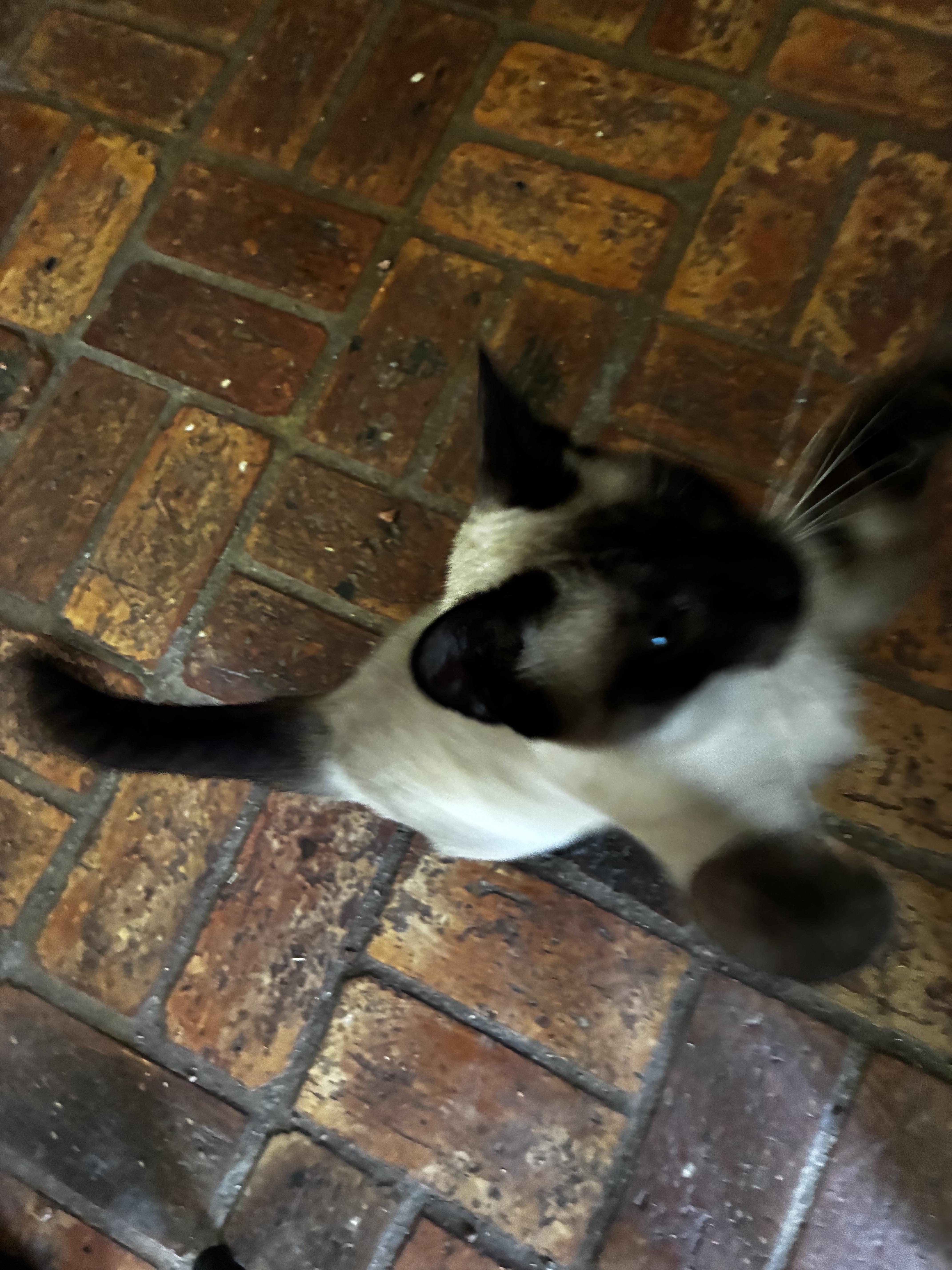 Eleanor thumbnail 2
