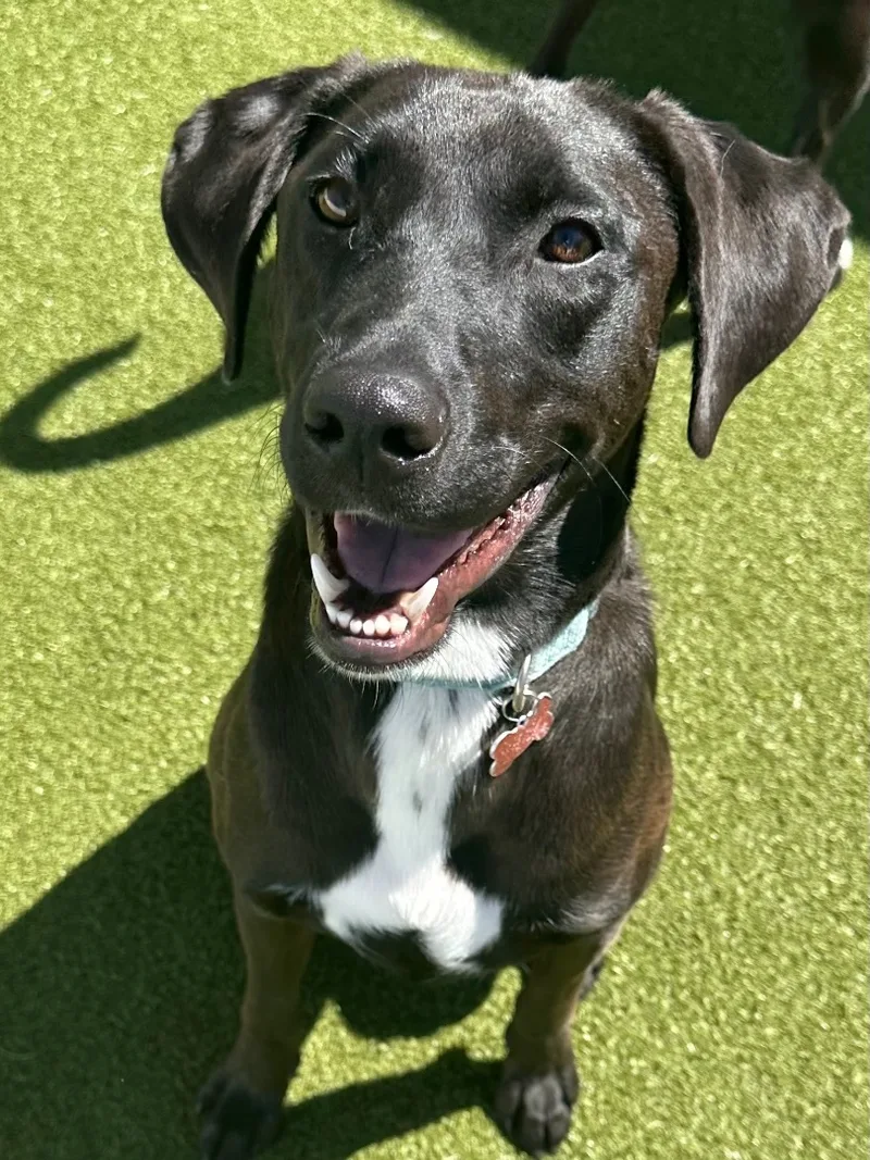 Kenickie thumbnail 3