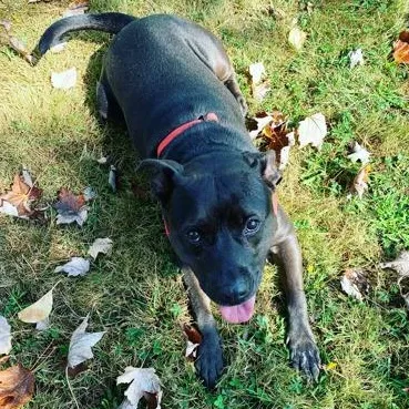 Bella in Maine