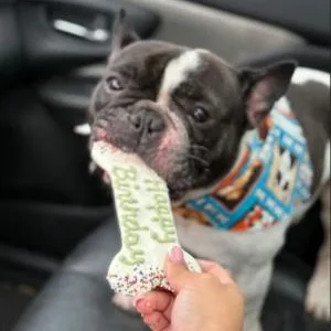 Papote thumbnail 6