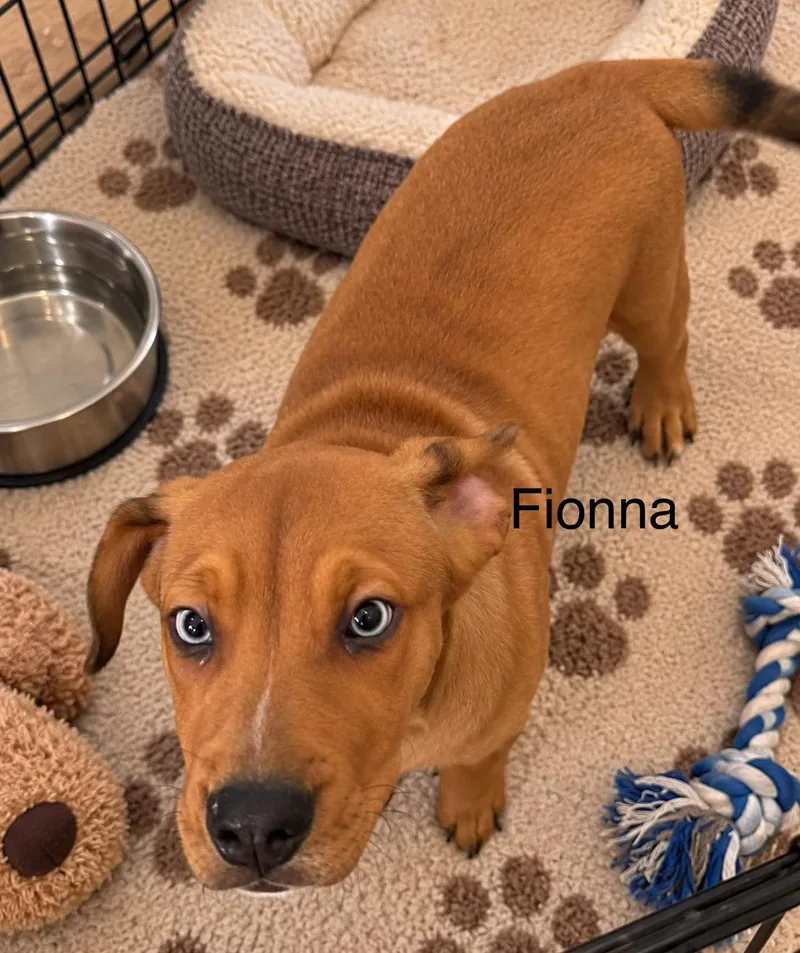 Fionna thumbnail 2