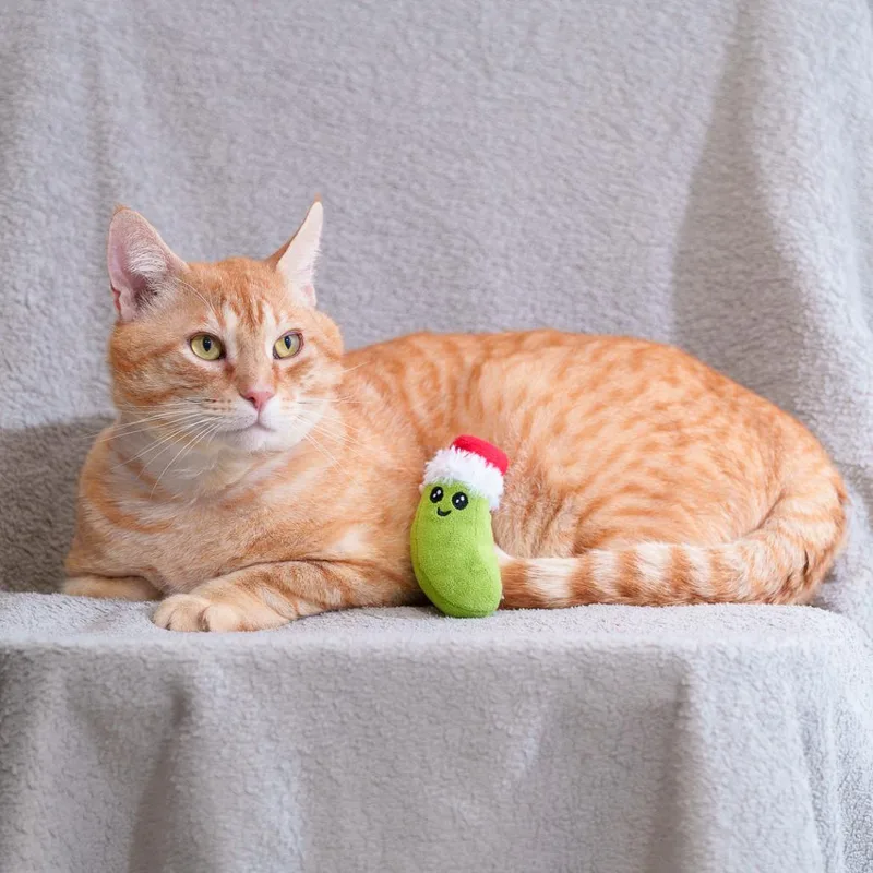 Chubby Cheeks thumbnail 2