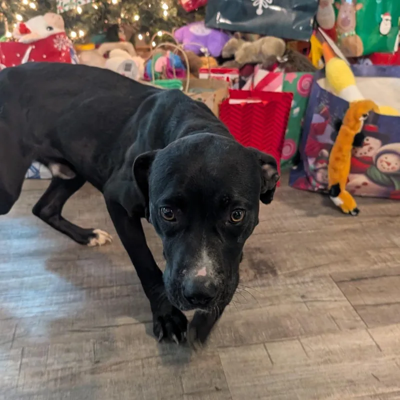 Bruce Wayne thumbnail 2