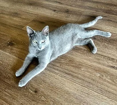 Coal Brotherofember thumbnail 2