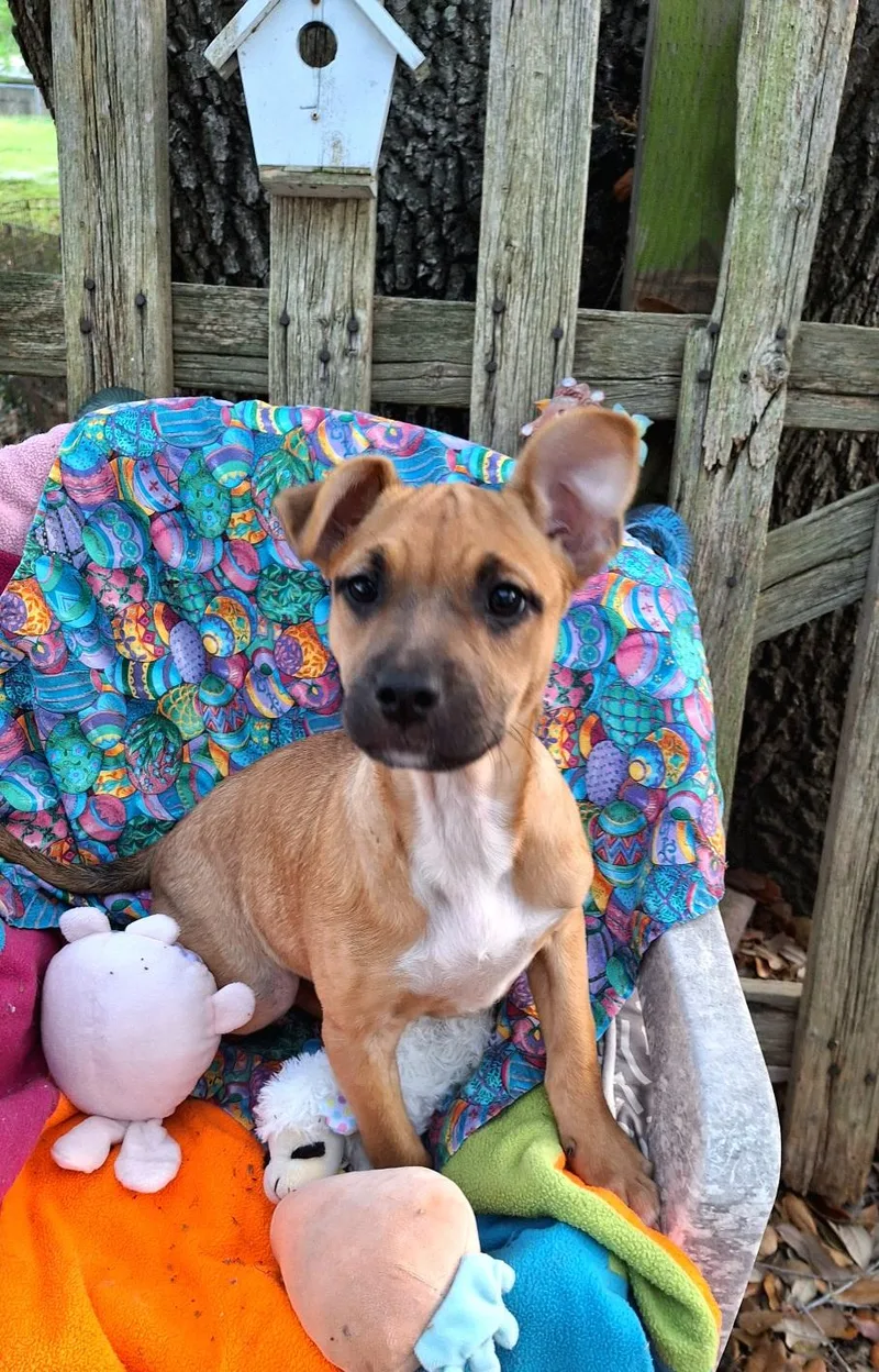 Ashalee Mvt thumbnail 2