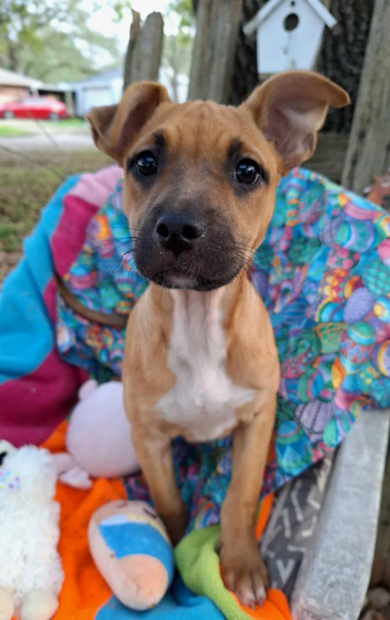 Ashalee Mvt thumbnail 3