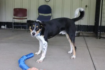 Benny thumbnail 2