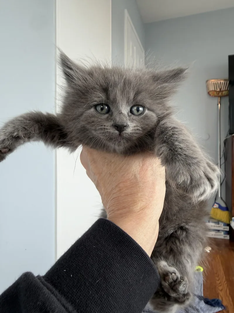 Lionel Messi thumbnail 3