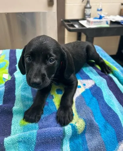 Dr. Mckay thumbnail 2