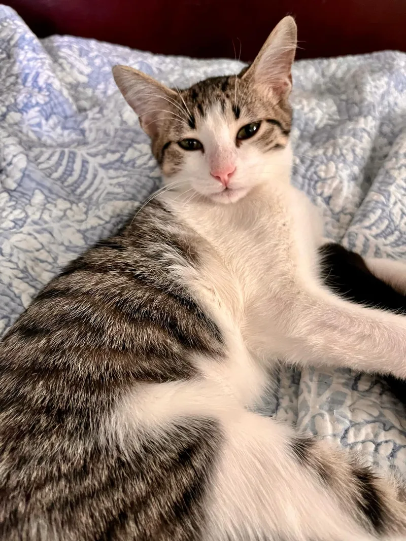 Necklace thumbnail 4