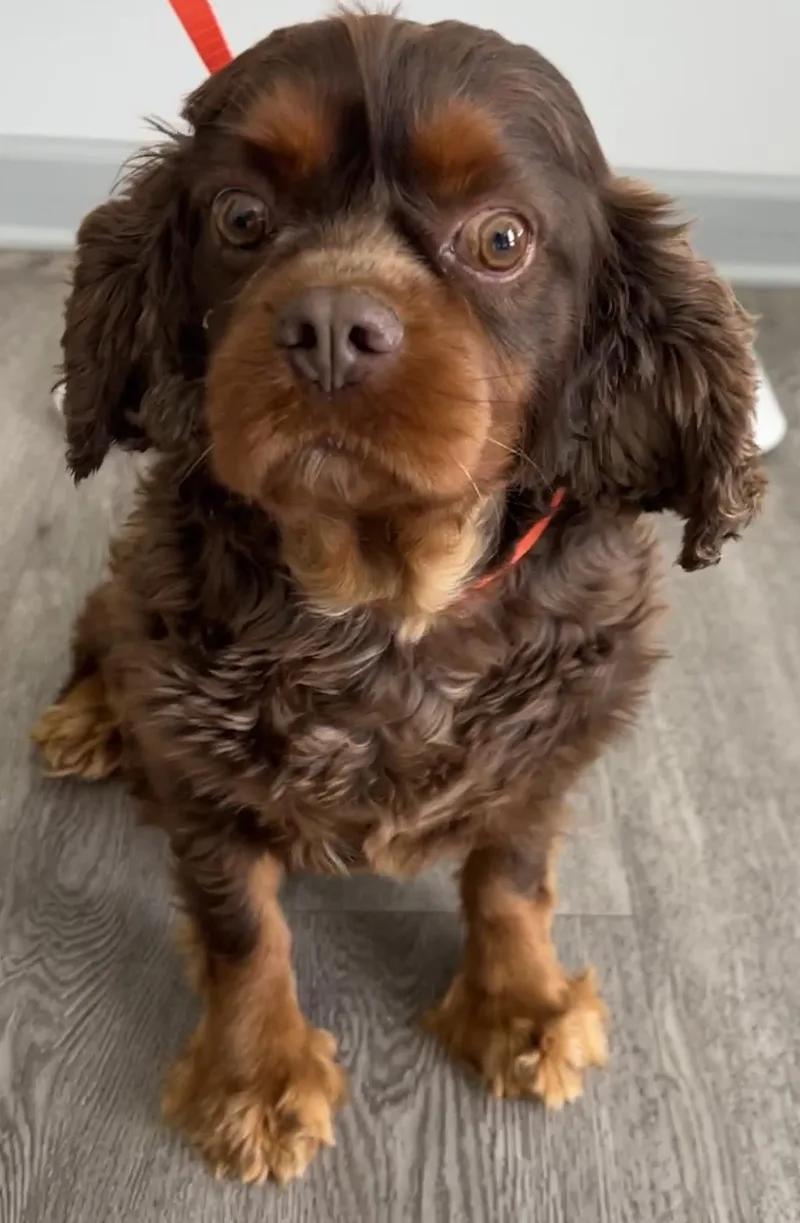 Buster thumbnail 3