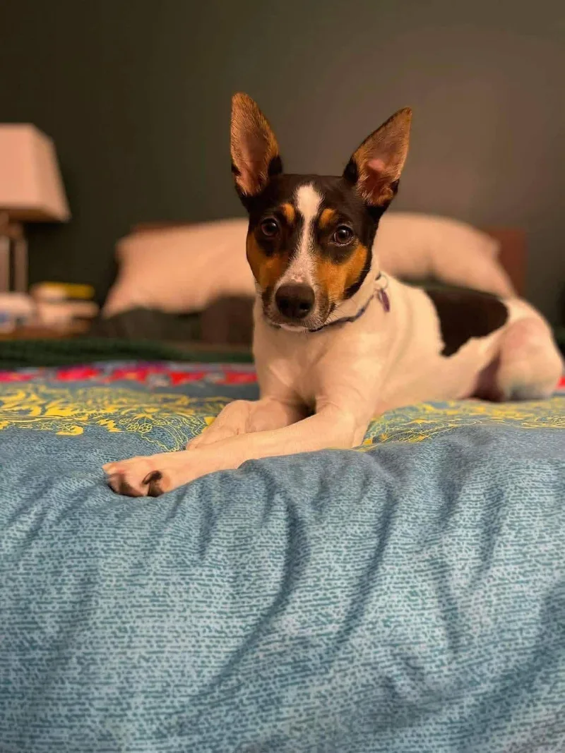 Missy "misdemeanor" Elliott