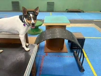 Missy "misdemeanor" Elliott thumbnail 3