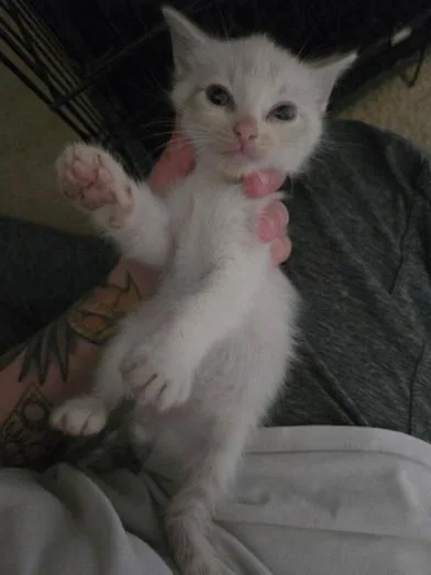 Loki thumbnail 2