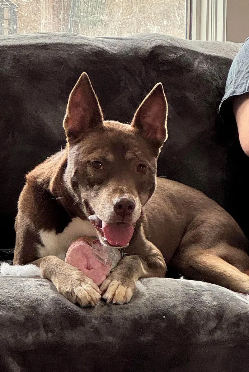 Maine And Virginia thumbnail 2