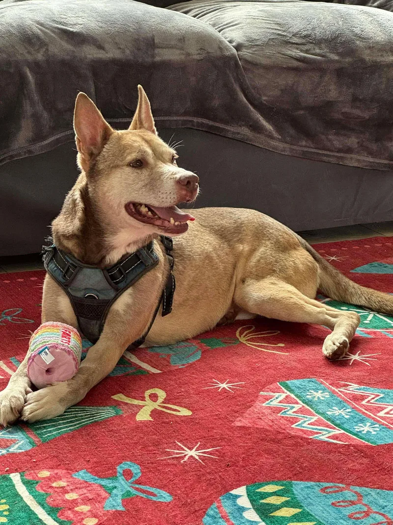 Maine And Virginia thumbnail 3