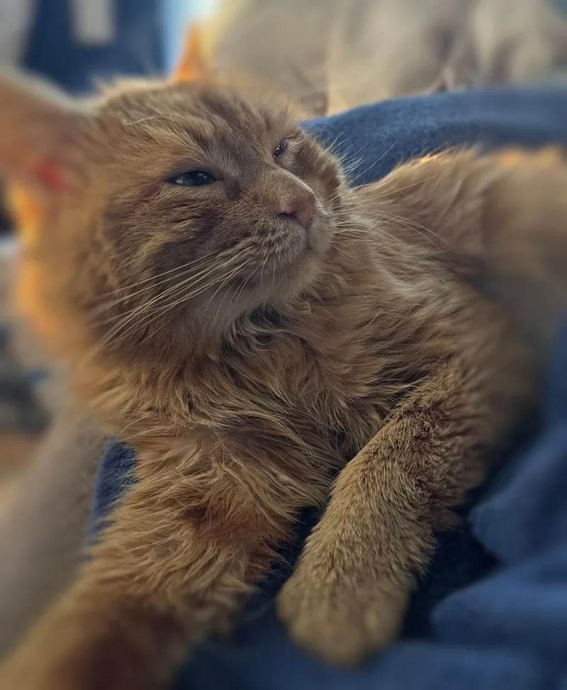Benny
