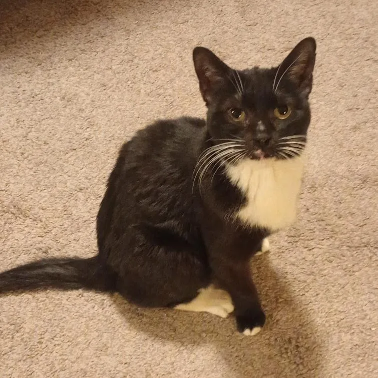 Isabella thumbnail 2