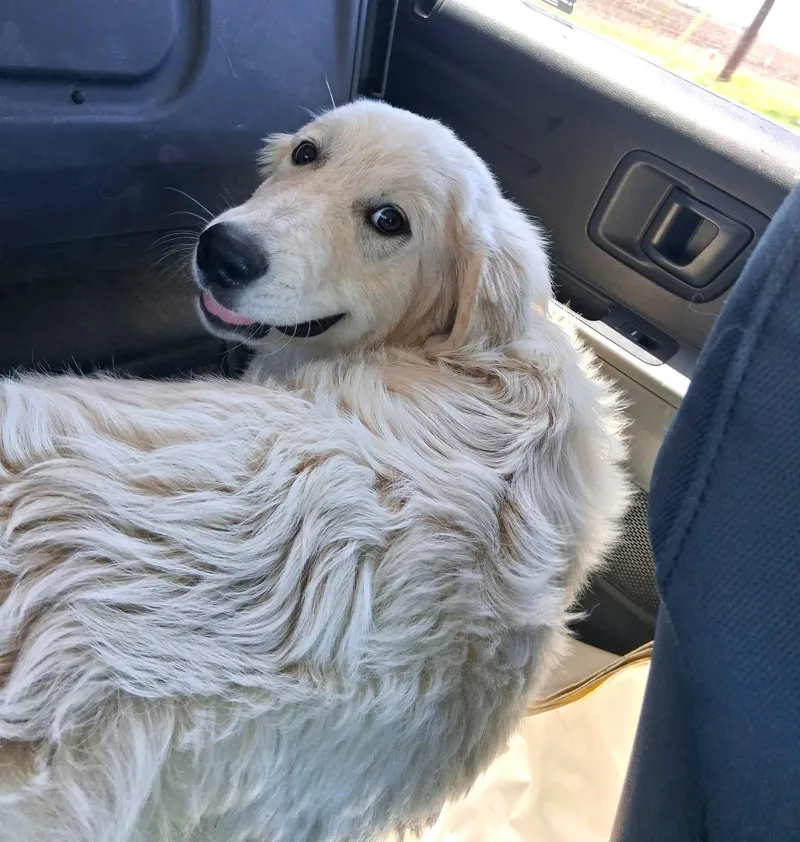 Huck Sat thumbnail 6