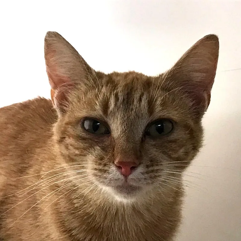 Treasure thumbnail 3