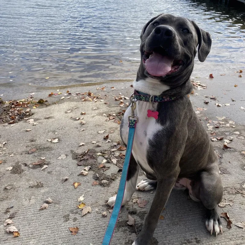 Big Luna thumbnail 2