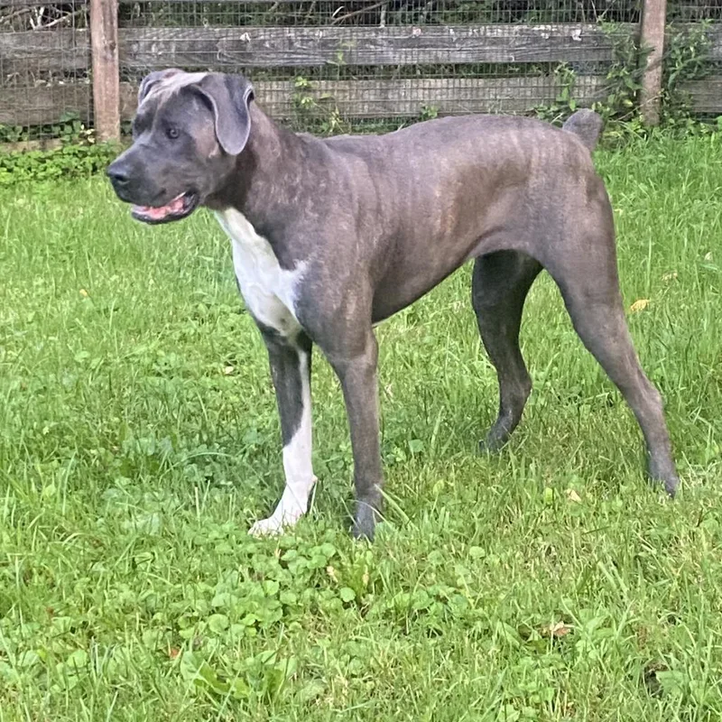 Big Luna thumbnail 5