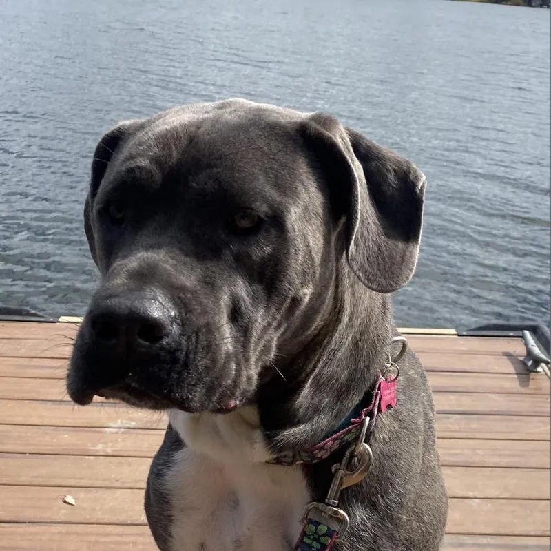 Big Luna thumbnail 6