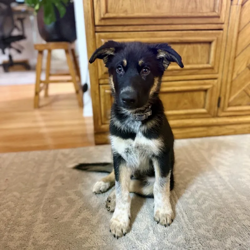 Stranger Things Mike