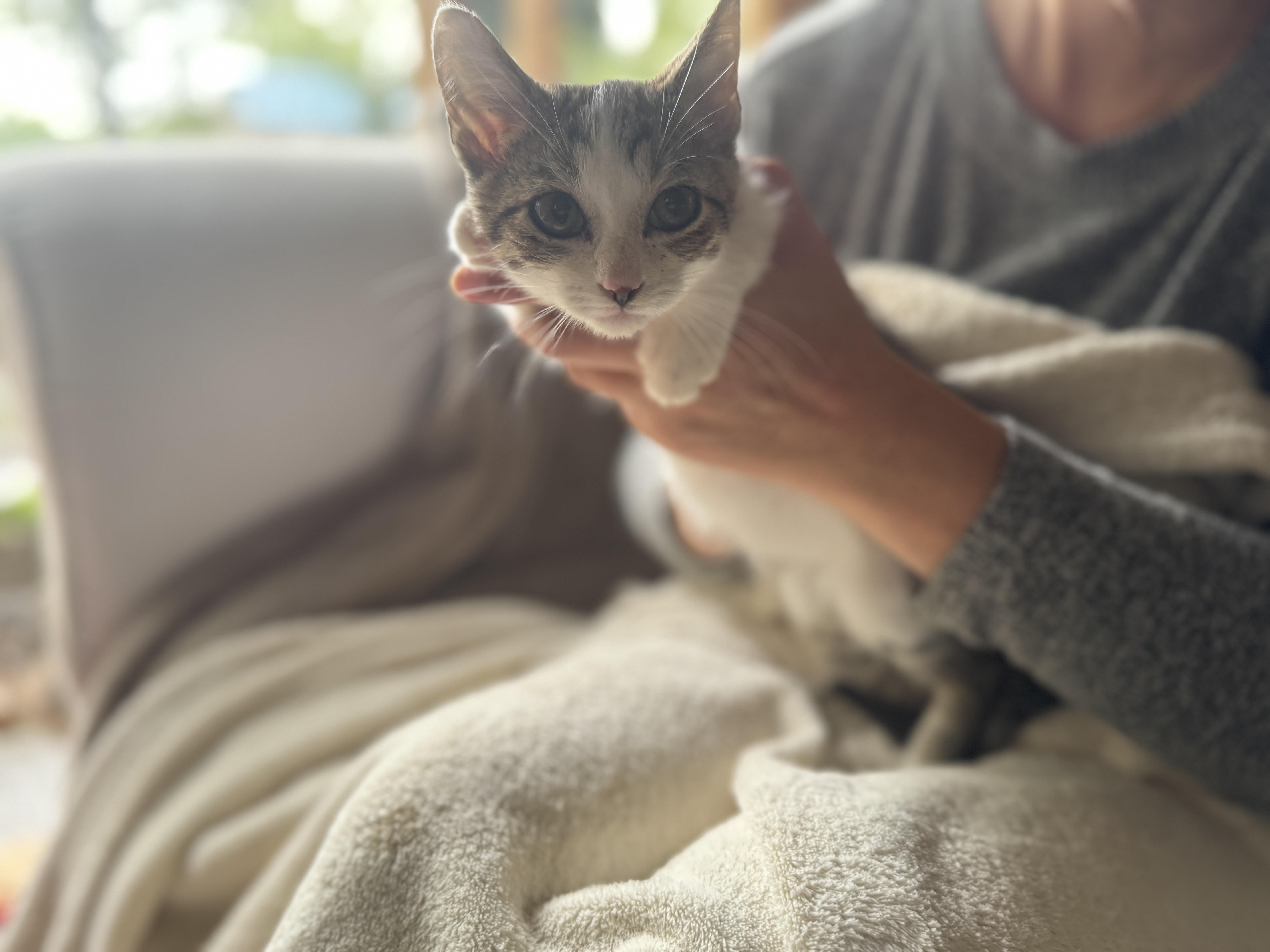 Benjamin Button thumbnail 2