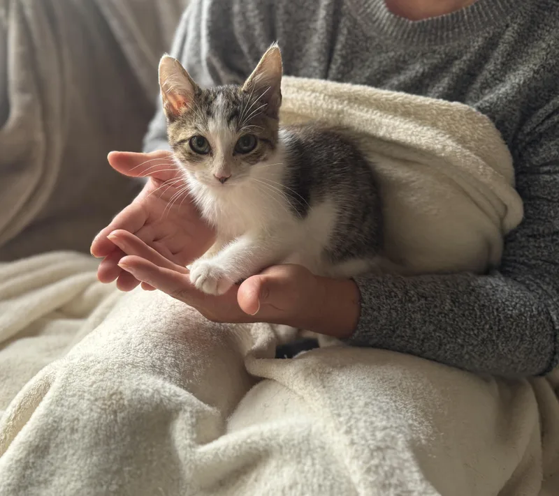 Benjamin Button thumbnail 3