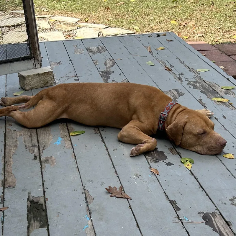 Prescott thumbnail 3