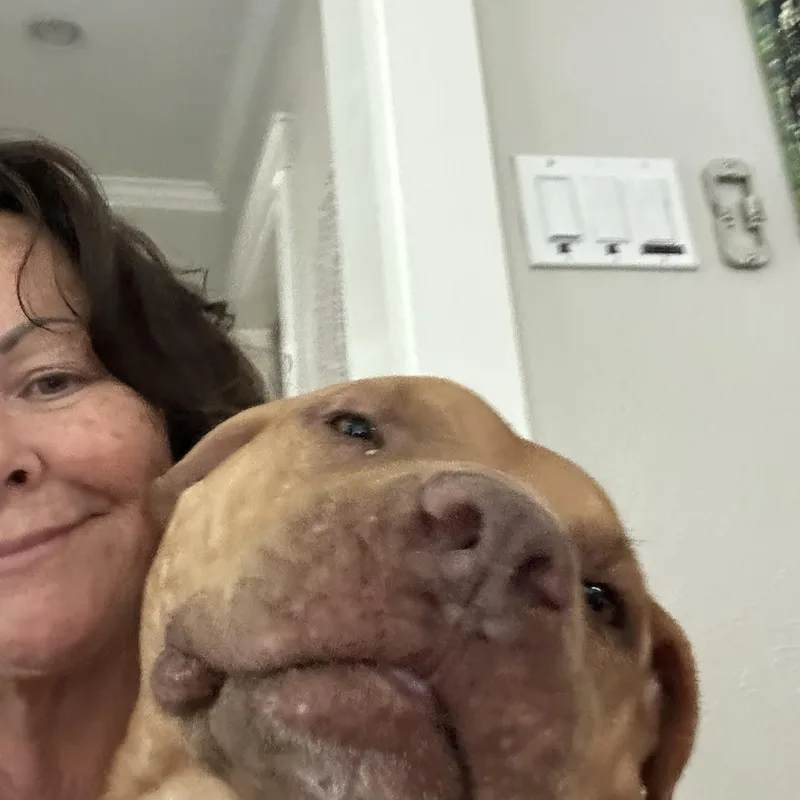 Prescott thumbnail 5