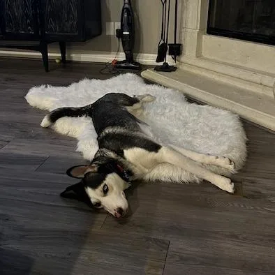 Ruby Rae Lm thumbnail 2