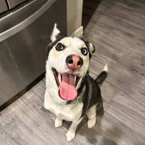 Ruby Rae Lm thumbnail 3