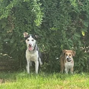 Ruby Rae Lm thumbnail 4