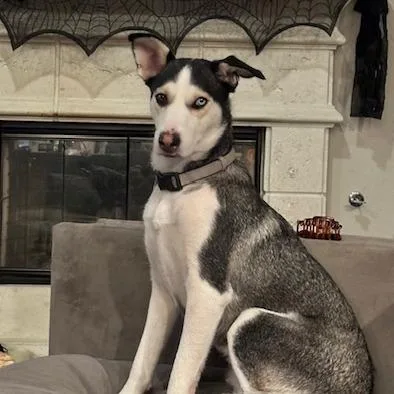 Ruby Rae Lm thumbnail 5