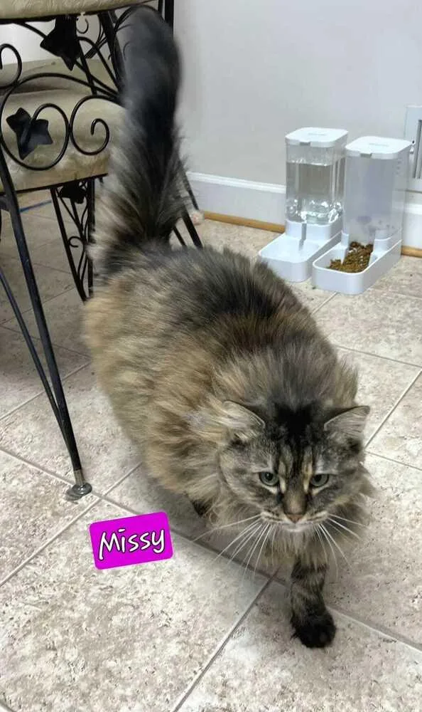 Missy