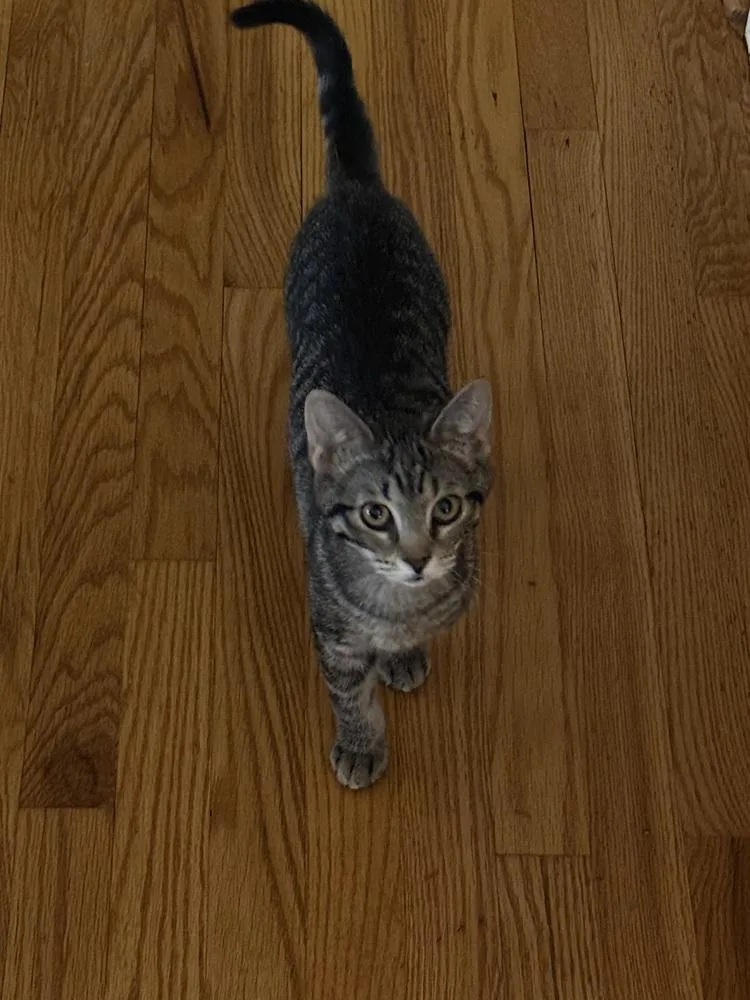 Teddy Ruxpin photo 1