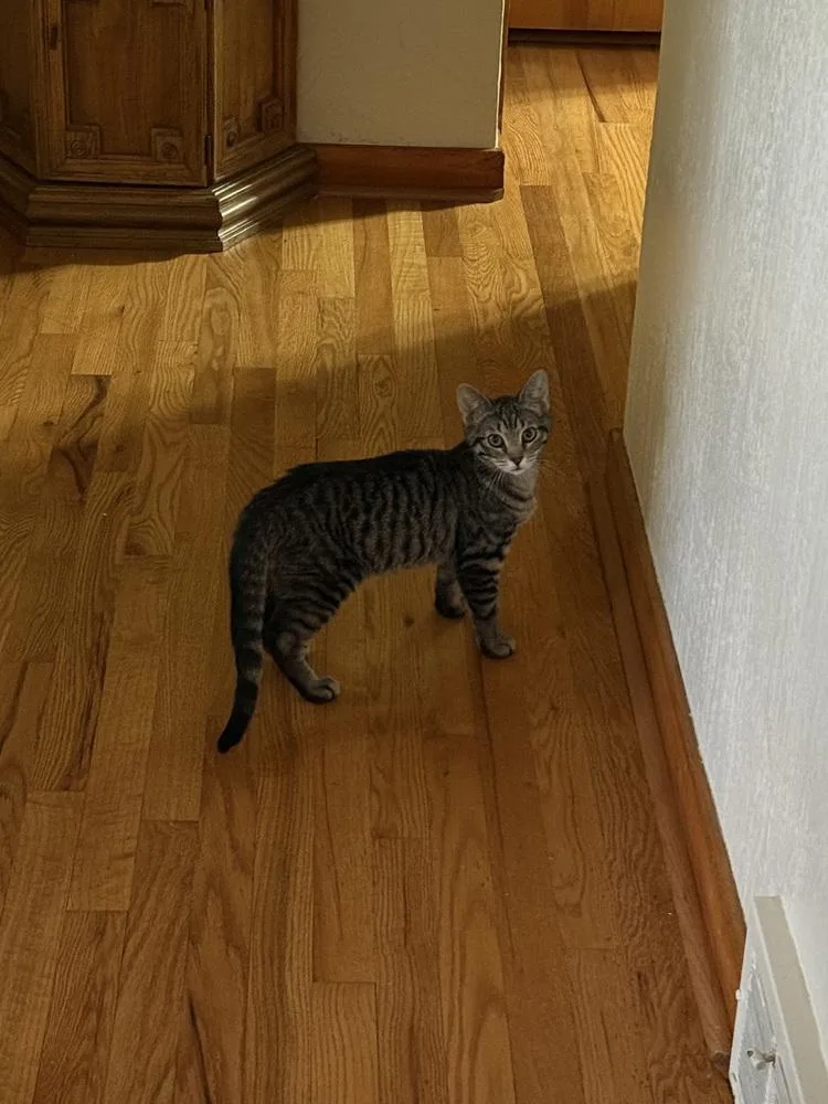 Teddy Ruxpin thumbnail 2